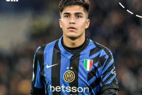 九游体育- 阿森纳欧冠历程 